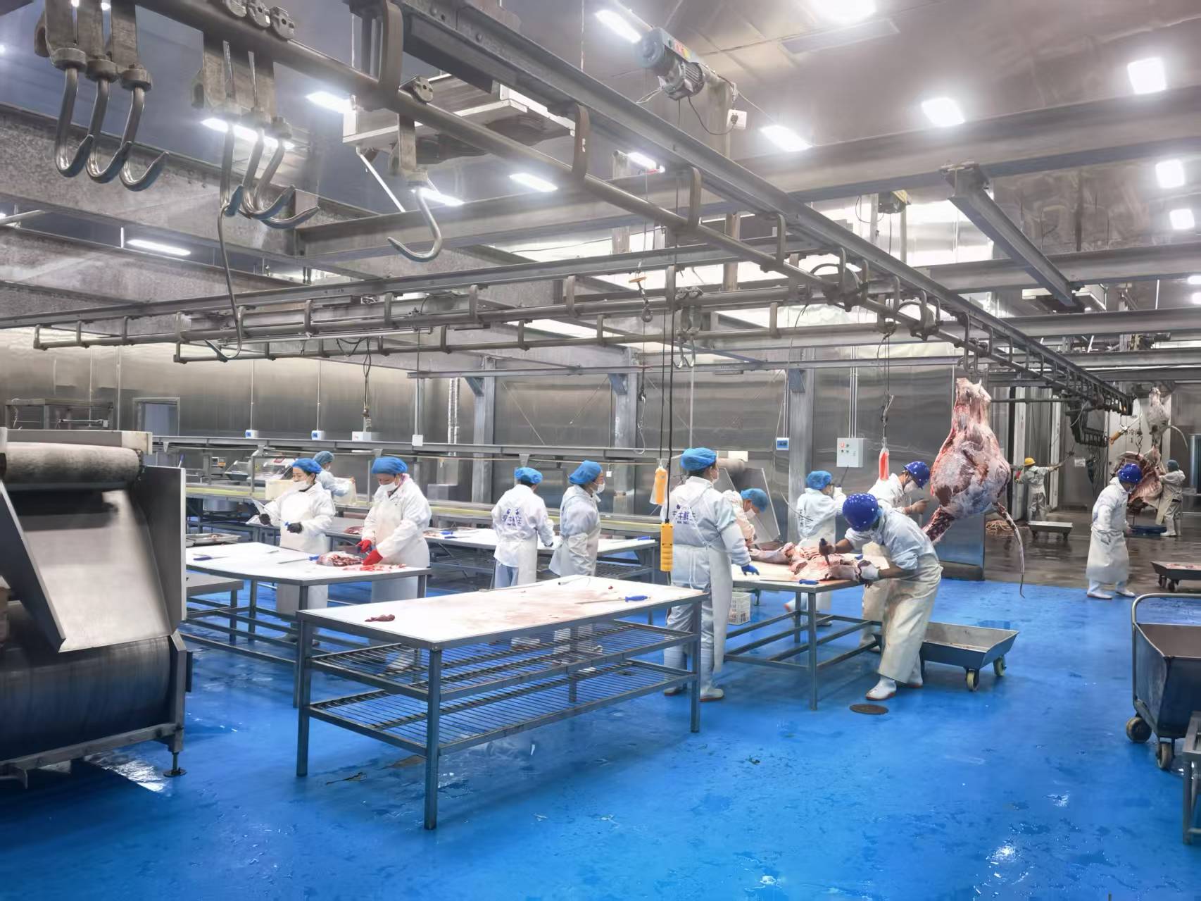 ͼƬ